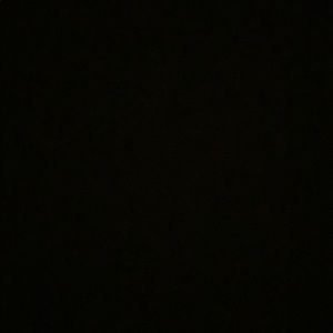 Meet your Posher, Brylie